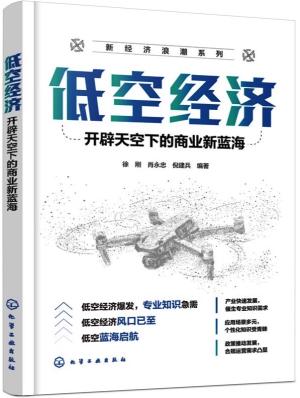 低空经济：开辟天空下的商业新蓝海