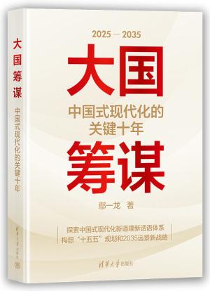 大国筹谋：中国式现代化的关键十年