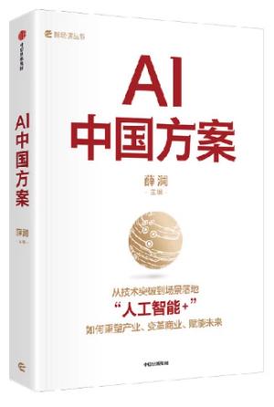 AI中国方案