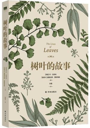 树叶的故事（“天际线”丛书）