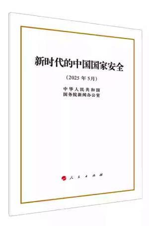 新时代的中国国家安全 （16开本）