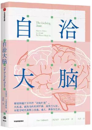 自洽大脑