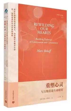 重塑心灵：与万物重建生命联结