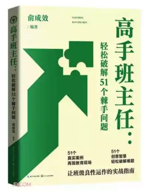 高手班主任：轻松破解51个棘手问题（大教育书系）