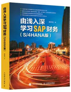 由浅入深学习SAP财务(S/4HANA版)