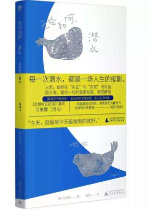 无论如何，潜水