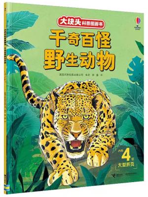 千奇百怪野生动物